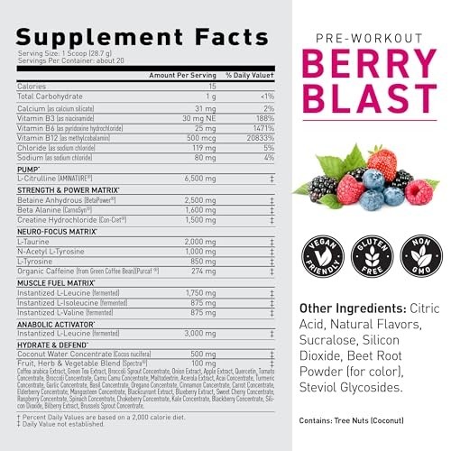 Pre Workout Powder Berry Blast | Creatine, Beta Alanine, L-Citrulline, BCAAs | 2