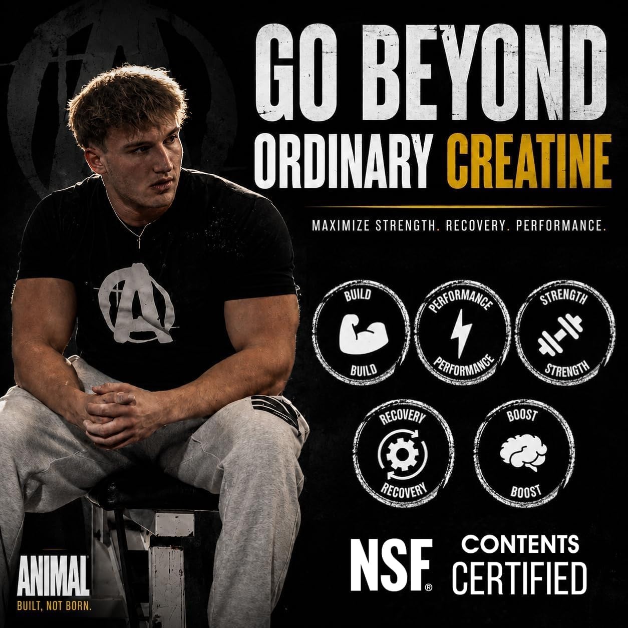 Animal Creatine Monohydrate Powder – 100% Pure – Unflavored – 10.58 oz – 02/2029