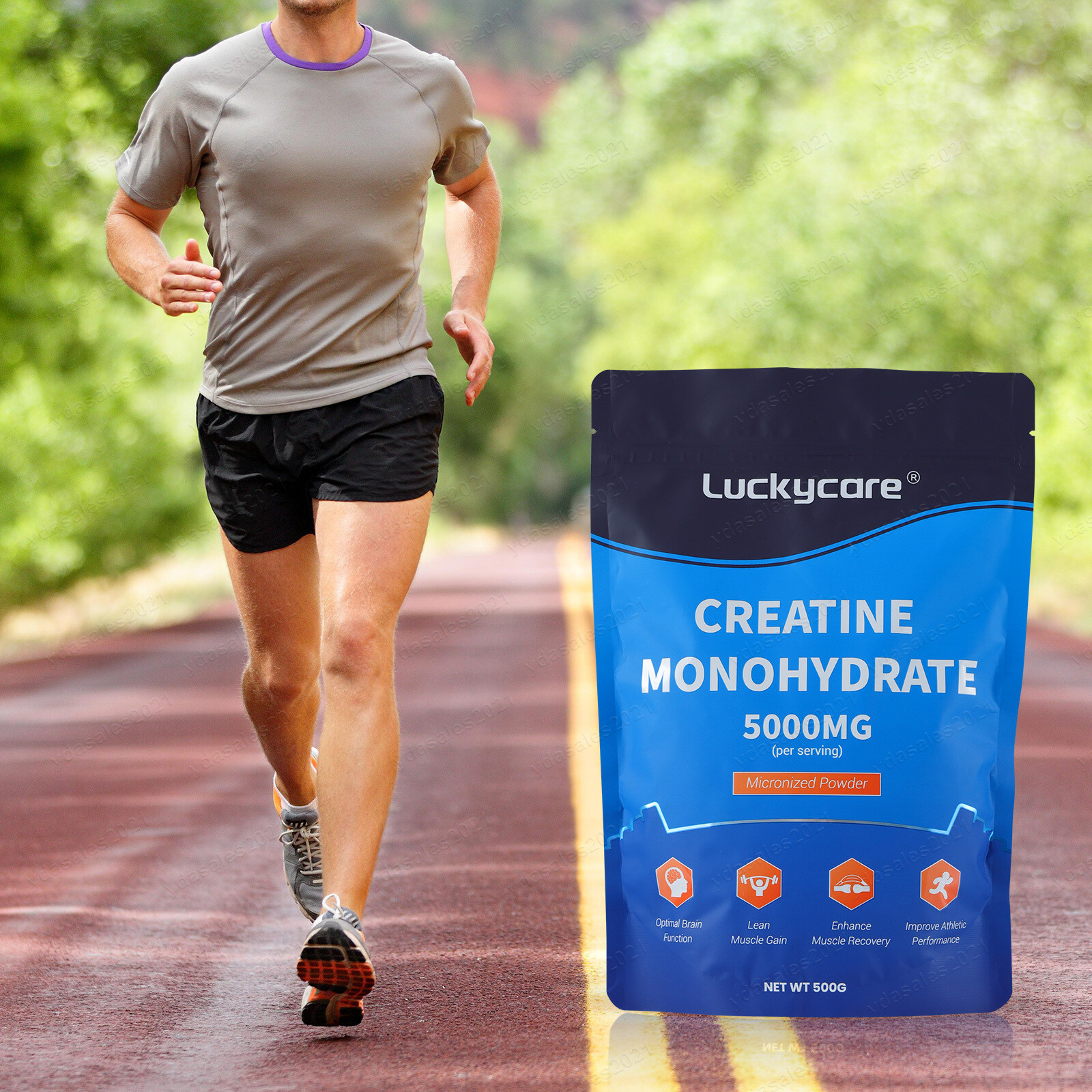 Bulk Creatine Monohydrate Powder Micronized – 5 Grams Per Serving Wholesale LOT