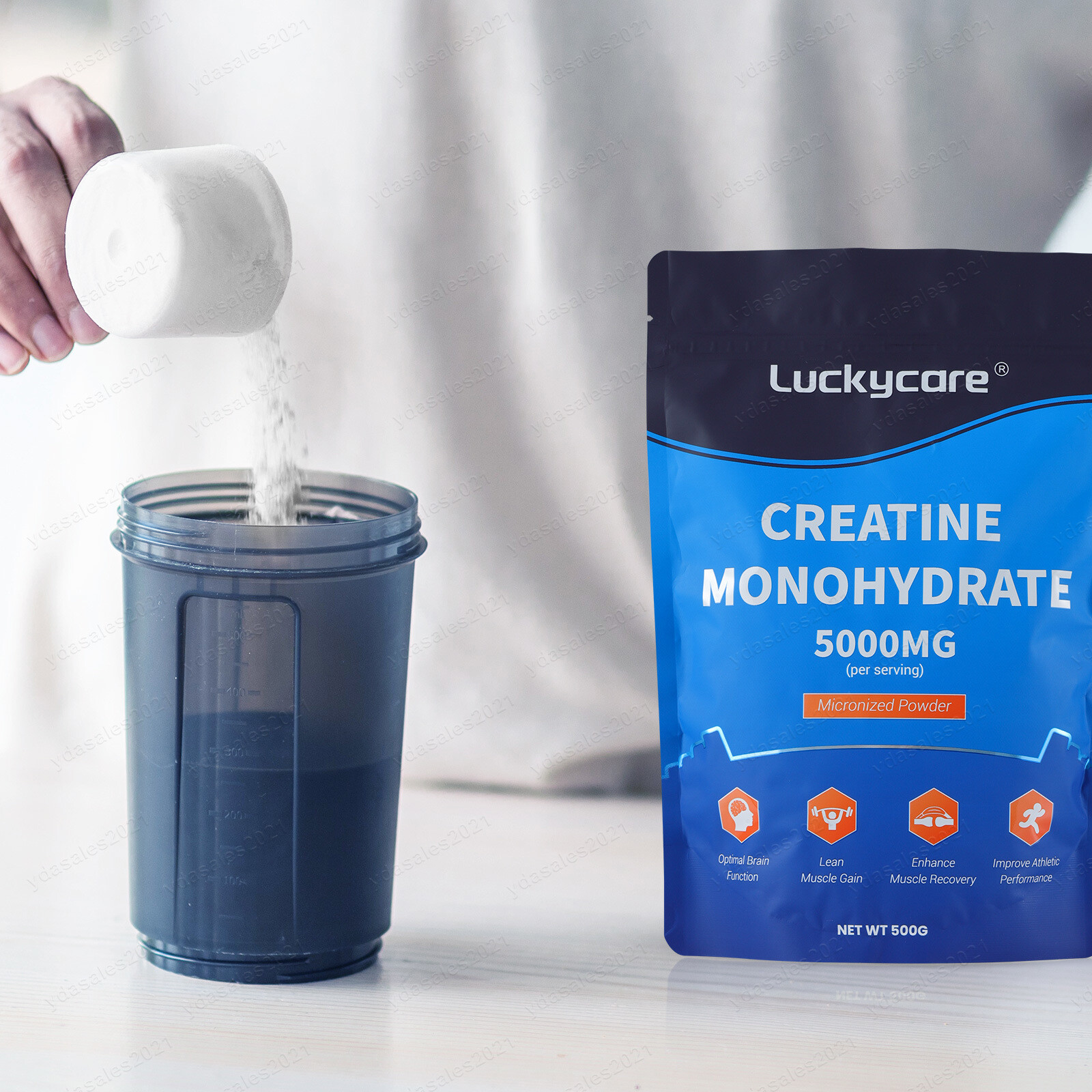 Bulk Creatine Monohydrate Powder Micronized – 5 Grams Per Serving Wholesale LOT