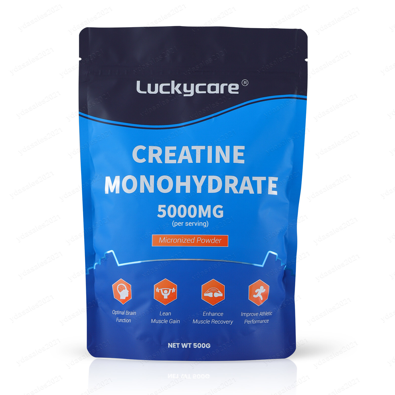 Bulk Creatine Monohydrate Powder Micronized – 5 Grams Per Serving Wholesale LOT