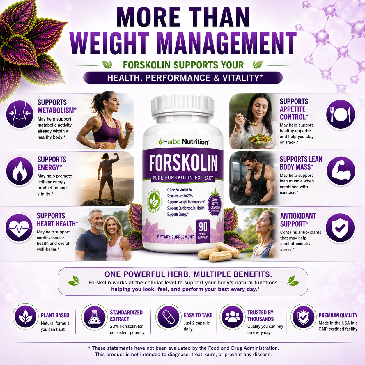 Best Forskolin Weight Loss Supplement 90 Caps 250mg At 20% of Coleus Forskohlii